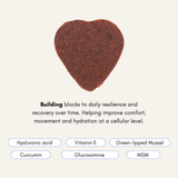 VitaChews™ Vitality Program