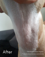 VitaChews™ Vitality Program