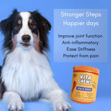 VitaChews - Hip & Joint | Mobility