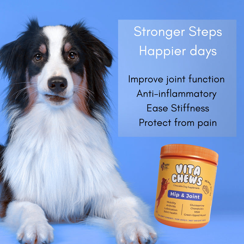 VitaChews - Hip & Joint | Mobility