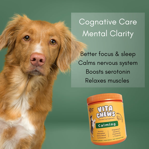 VitaChews™ Vitality Program