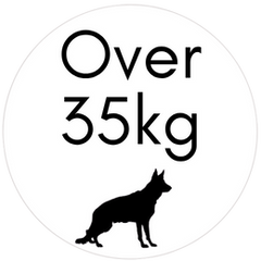 Over 35kg