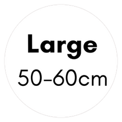 LARGE
