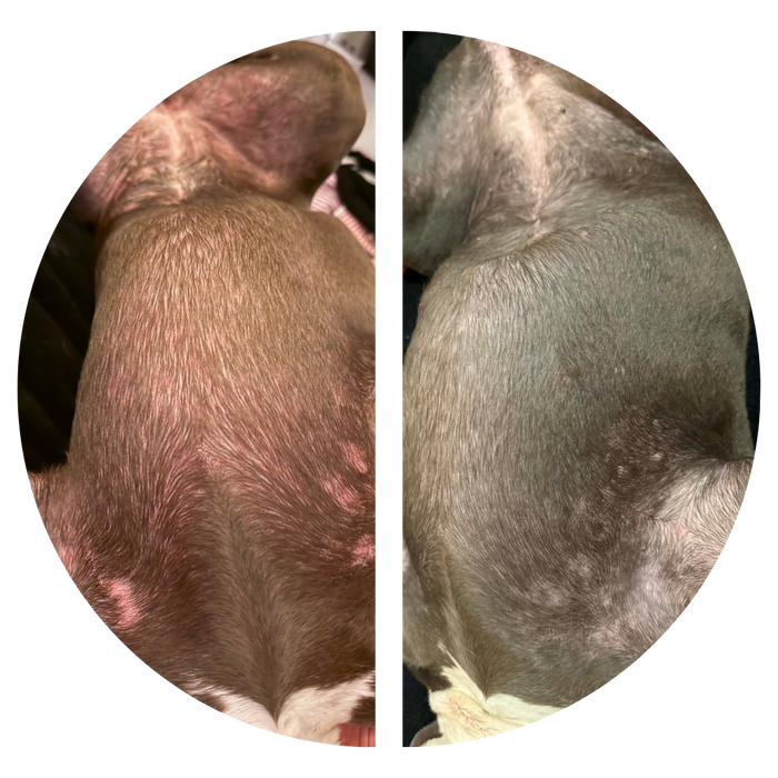 Day 0 → Day 14