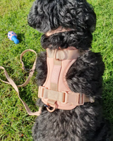Personalised Charm Collar + Harness Set