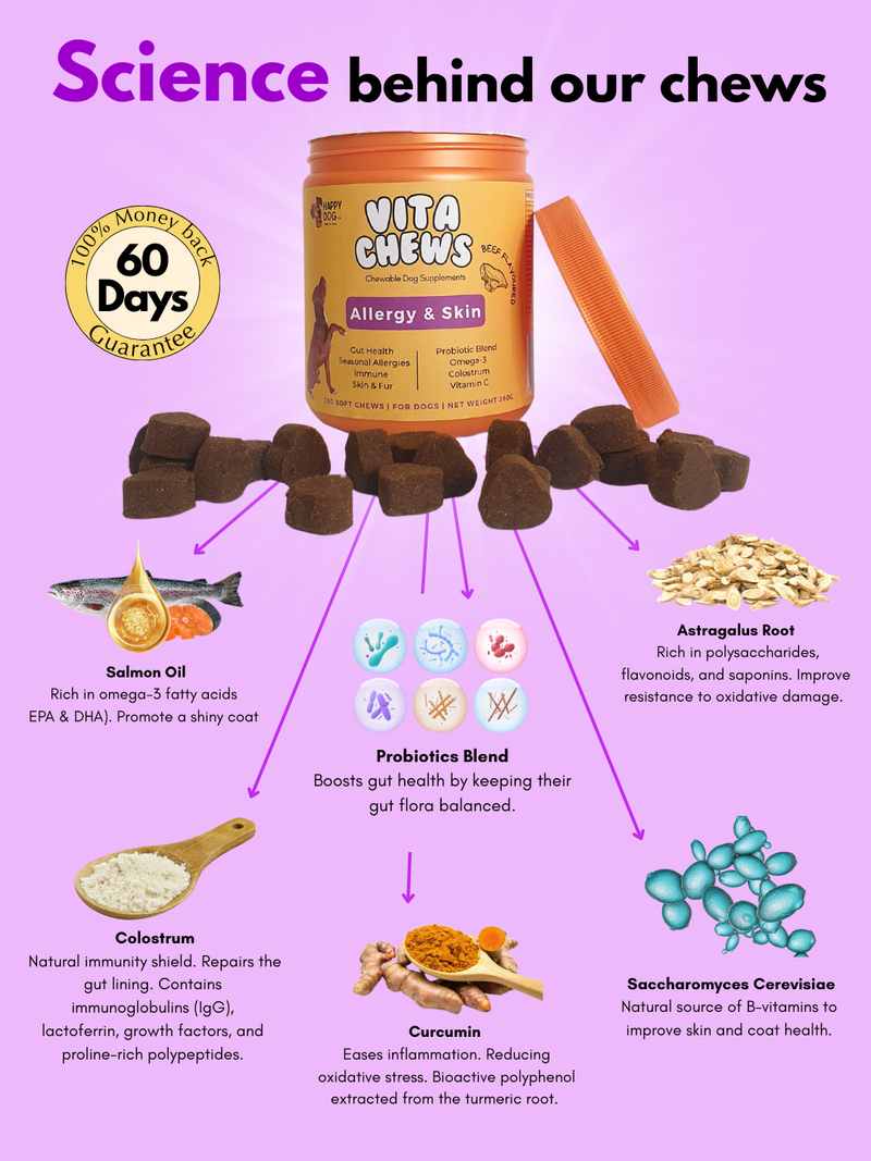 VitaChews - Gut & Skin | Allergy |
