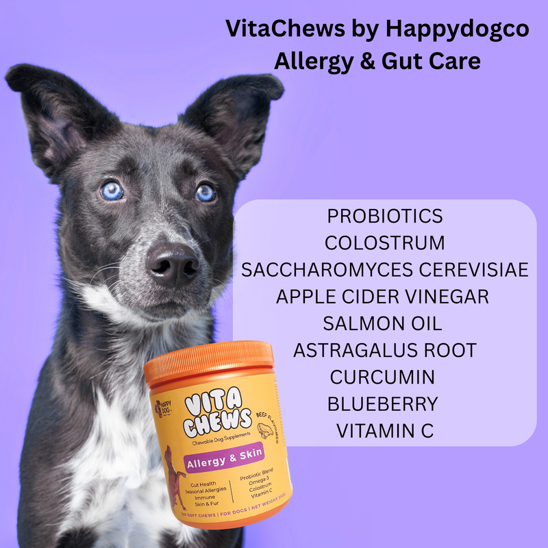 VitaChews - Gut & Skin | Allergy |