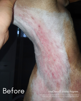 VitaChews™ Vitality Program