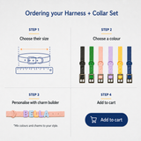 Personalised Charm Collar + Harness Set