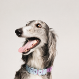 Personalised Charm Collar
