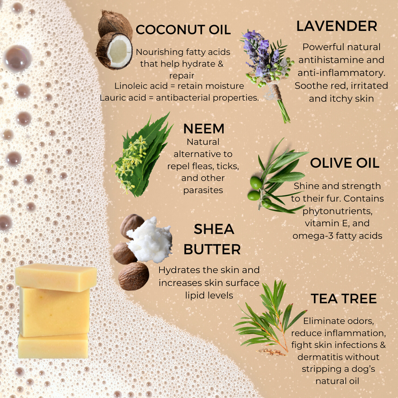 Natural Pet Wash - Clean & Condition Sensitive Skin