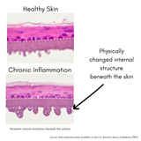 VitaChews™ Vitality Program