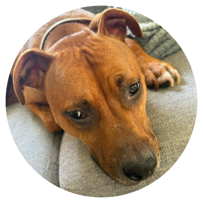 Luna