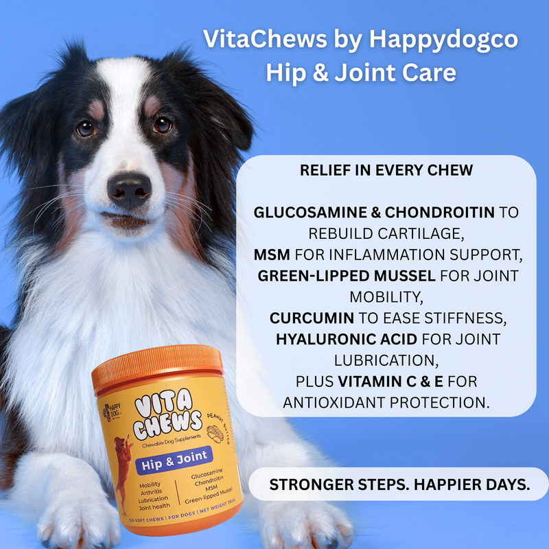 VitaChews - Mobility Hip & Joint care