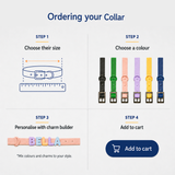 Personalised Charm Collar