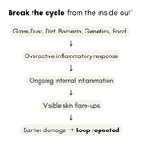 VitaChews™ Vitality Program