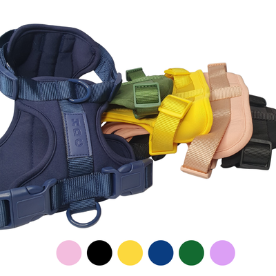 Harness + Collar