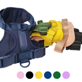 Harness + Collar