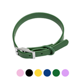 Harness + Collar