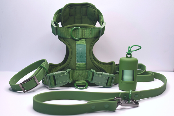 HDC Walk kit + Free Poop Bag Carrier