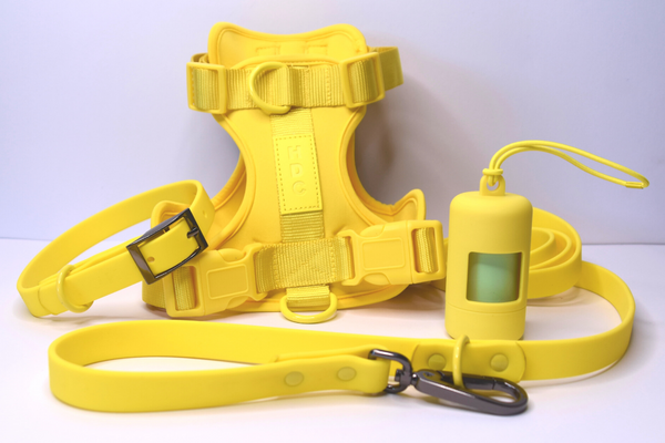 HDC Walk kit + Free Poop Bag Carrier