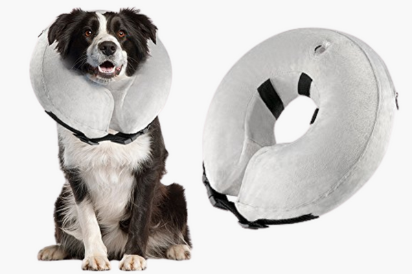 Recovery Donut