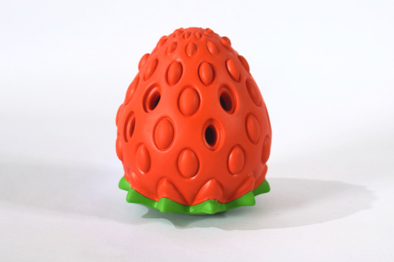 Chew Master Strawberry Toy