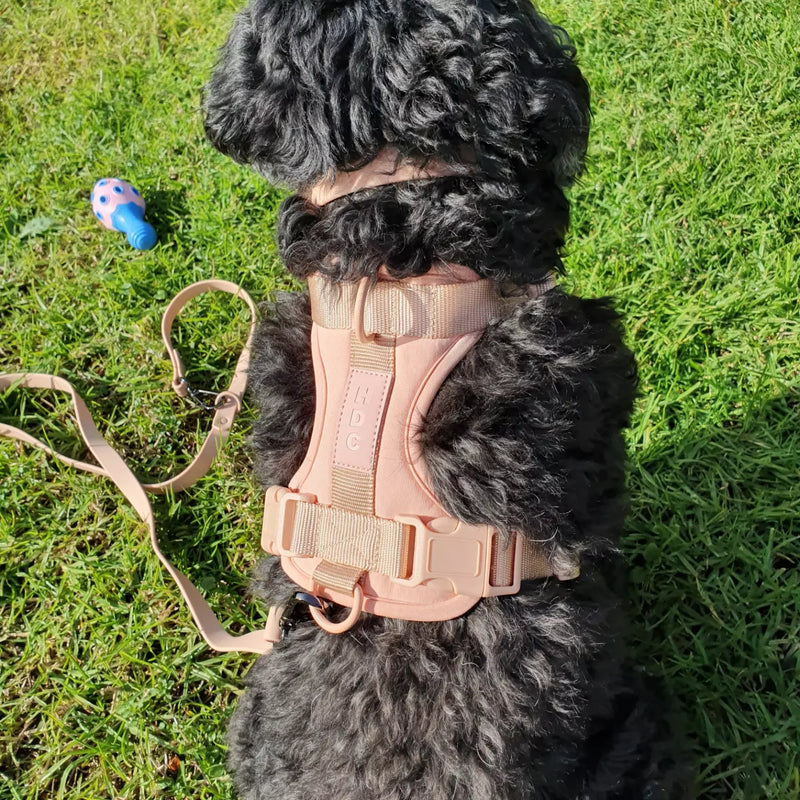 HDC Walk kit + Free Poop Bag Carrier