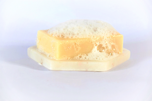 Natural Pet Wash - PH Balanced | Clean & Condition