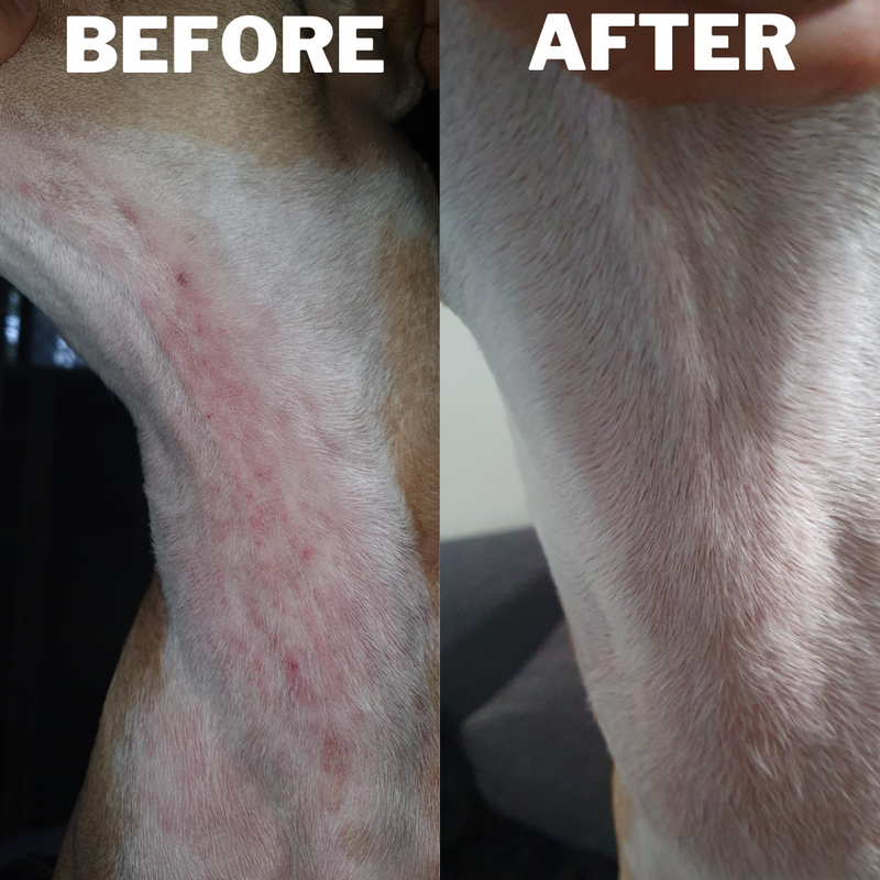 All Natural Rescue Balm - Paws & Bellies