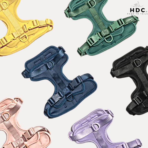 Active Harness - Easy to clean & dry